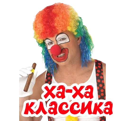 clown, clown à perruque, perruque de clown, clown clown green, perruque de clown multicolore
