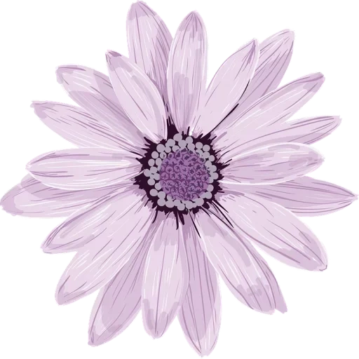 fiori, fiori viola, buona festa della mamma, sfondo di fiori viola, fiori tagliare lilla