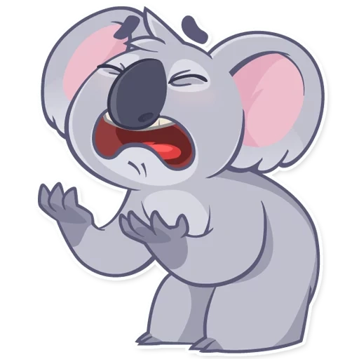 koala, kolachak, kartun koala