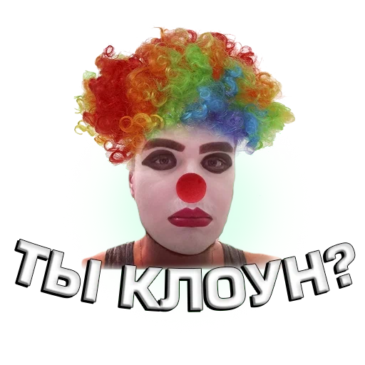 clown, clown nose, the make up of the clown, clown wig, clown mask
