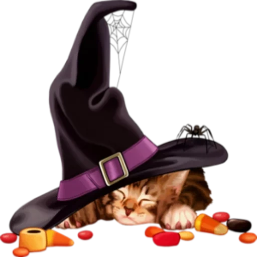 хэллоуин, шляпа ведьмы, черный кот шляпе, ведьмочка хэллоуин фотошопа, ведьминская шляпа белом фоне