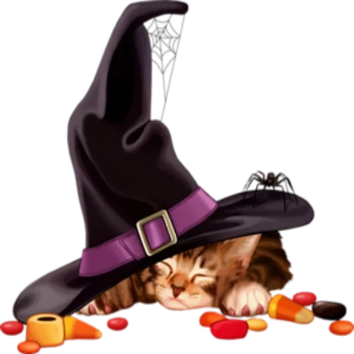 halloween, der hexenhut, schwarze katze hut, hexe halloween photoshop, hexenhut auf weißem hintergrund