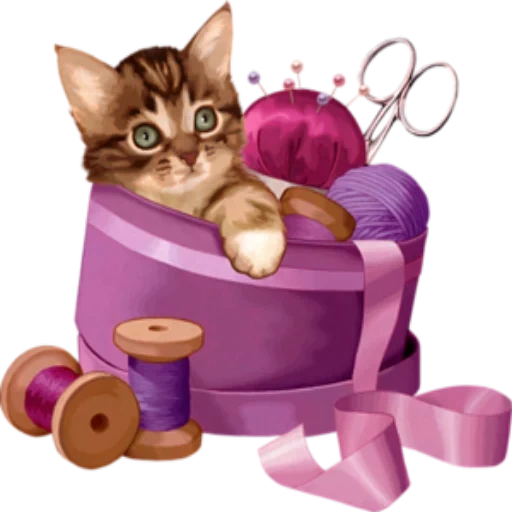 gatto, gatti ago, illustrazione del gattino, gattini affascinanti, un glomeruli del cesto di gattino