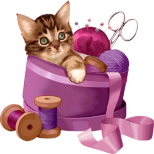 cats, aiguille pour chats, illustration de chaton, chaton charmant, chaton panier glomérulaire