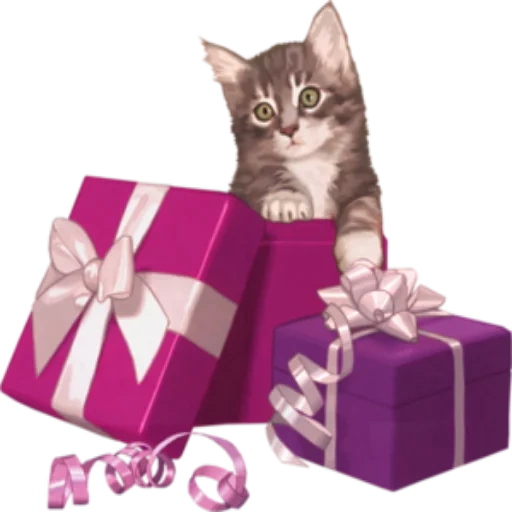 кошка, кошечка, день кошки, кот подарком, подарок подарок