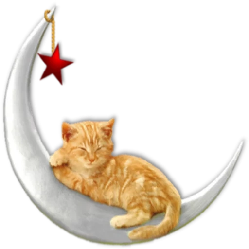 cats, pussycat pussycat, chat clipat, chat étoilé de la lune, bonne nuit fond transparent
