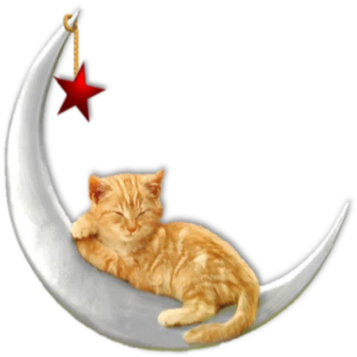 die katze, die katze die katze die katze, klippat katze, mond sterne katze, gute nacht transparenter hintergrund