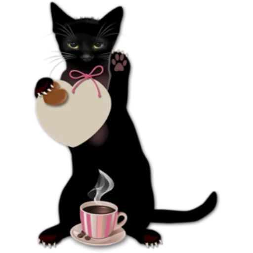 cat, die katze, the black cat, the black cat, kaffee für die schwarze katze