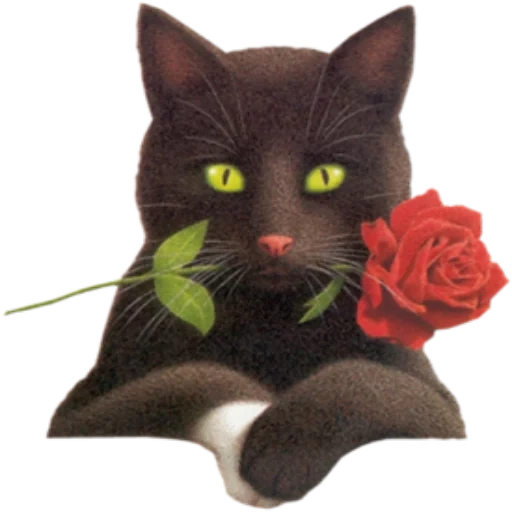 кот розой, чёрная кошка, черный кот розой, кот цветком зубах, черная кошка розах