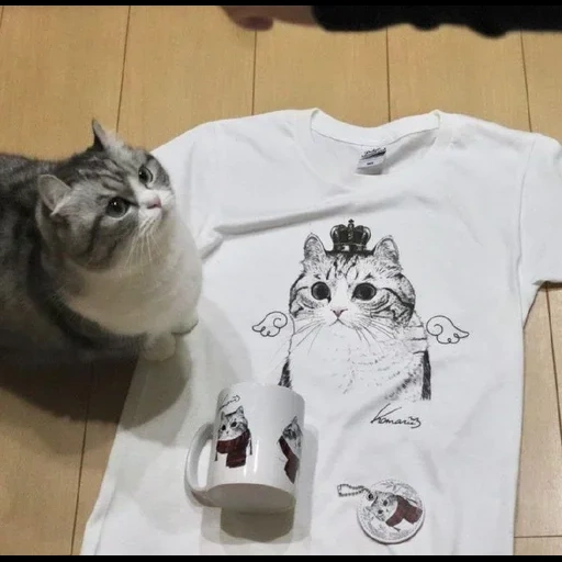 футболка, футболки модные, футболки котами, женские футболки, футболка женская rawr