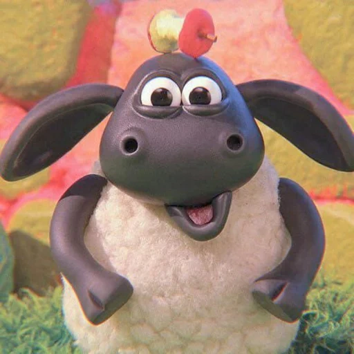 shaun le mouton, barati timmy, barashka sean timmy, dessin animé de lamb timmy, lamb sean timmy tim