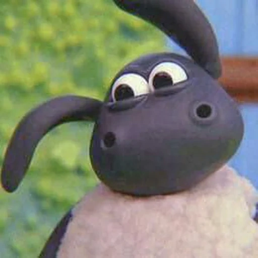 shaun the sheep, barati timmy, barashka sean timmy, cartoon of lamb timmy, lamb sean timmy tim