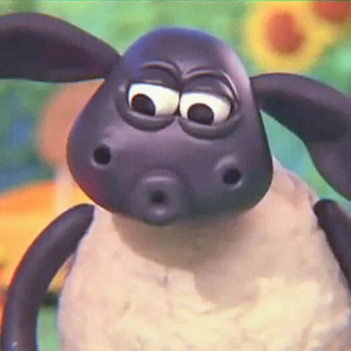 lamb, shaun the sheep, barati timmy, cartoon of lamb timmy, lamb sean timmy tim