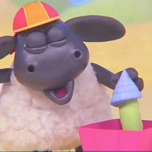 timmy, shaun le pecore, barati timmy, lamb sean timmy tim, timmy time disney junior