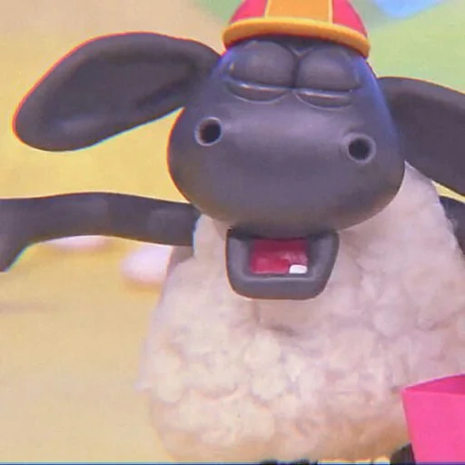 shaun the sheep, barati timmy, timmy time yabba, lamb sean timmy tim, timmy time disney junior