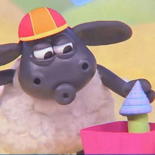 timmy tim, shaun the sheep, barati timmy, lamb sean timmy tim, timmy time disney junior