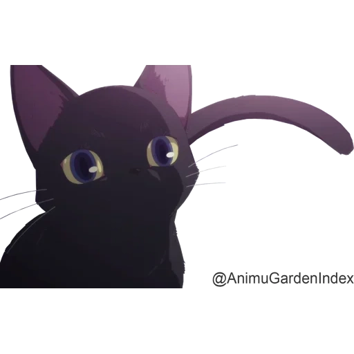 cat, gato, animação de gato, carney de lã de gato, personagem de anime