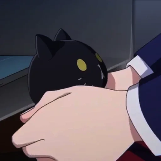 anime, anime, anime kawai, karakter anime, persona 5 morgan zorro