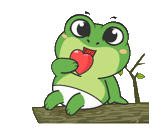 frog, лягушки, зеленая жаба, лягушка детей, рисунок лягушки