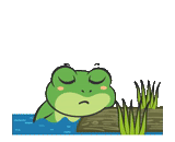 frog, toad frog, crab frog, frogs are cute, frog swamp game