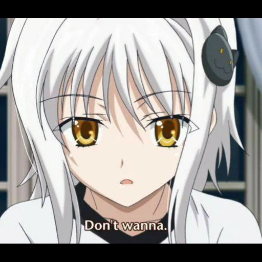 koneko, koneko, koneko chan, koneko todzo, koneko todze