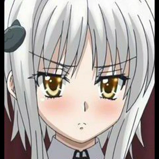 koneko dxd, koneko chan, koneko todzo, dxd à l'école senior, koneko todzo est adulte