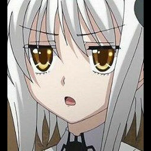 koneko, departamento de medicina interna, departamento de medicina interna chen, cavalo adulto, personagem de anime