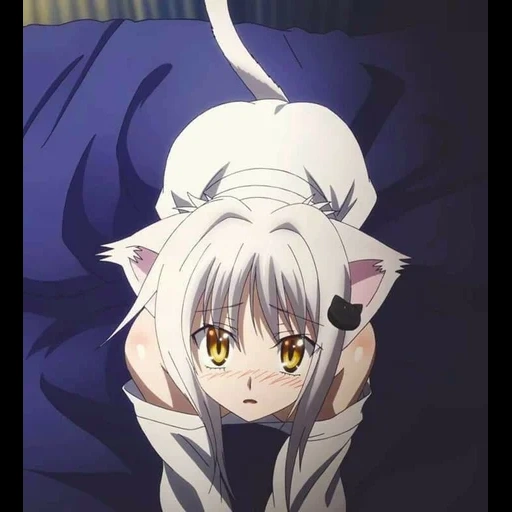 koneko, dxd konko, koneko chan, anime koneko, koneko todzo