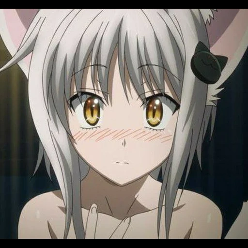 koneko, koneko todzo, anime mädchen, anime ist ein mädchen, koneko todzo ist erwachsener