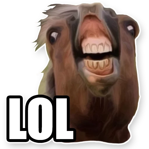 das pferd meme, das lachende meme, das brüllende pferd, das brüllende pferd, horse laching meme