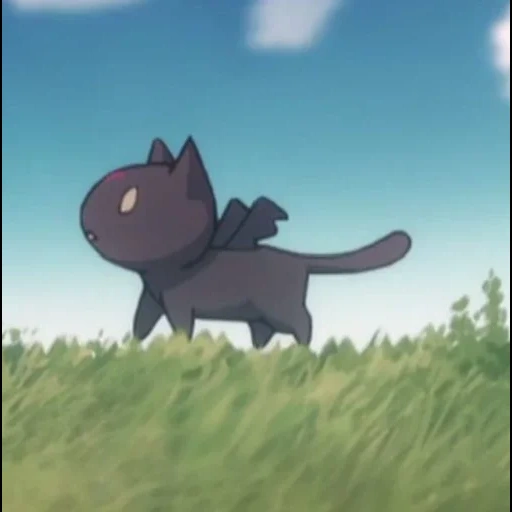 kucing, anime, anime cat, chomusk konosuba, chomukeke chomusk