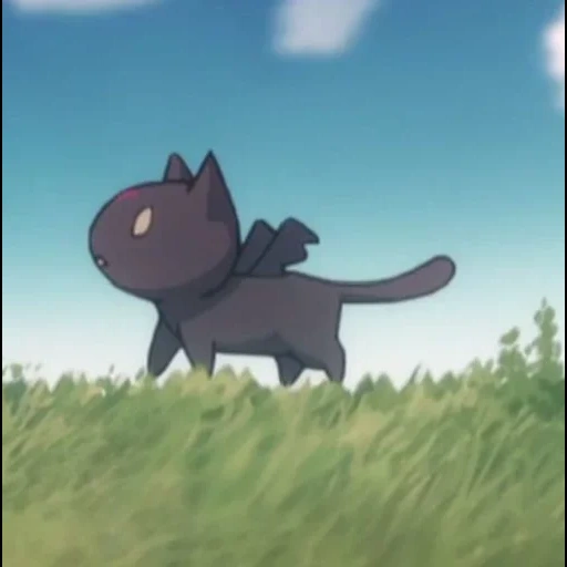 gato, anime, gato de anime, chomusk konosuba, chomusuke chomusk