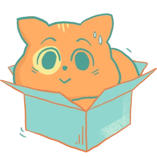 box cat, sberkot stary