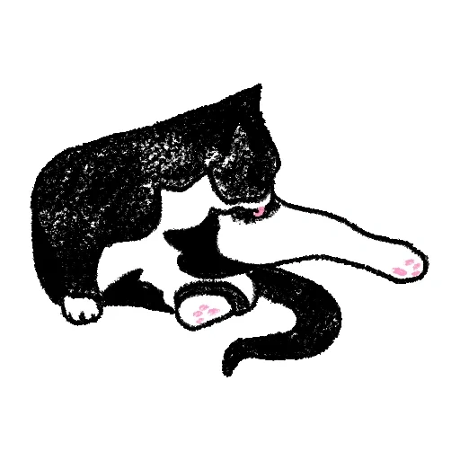gato, gatos, gato blanco negro, ilustración de un gato, artista tango gao