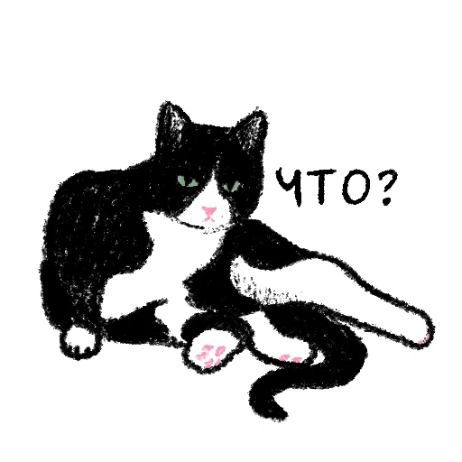 gatto, gatto, gatto gatto, gatto bianco e nero, illustrazione del gatto