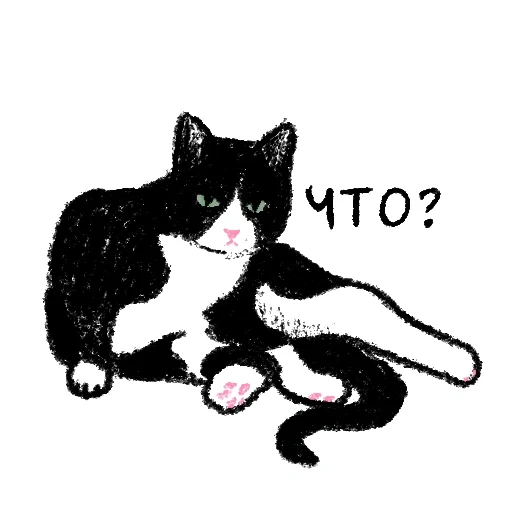 gato, gato, gato, gato preto e branco, gato ilustrado