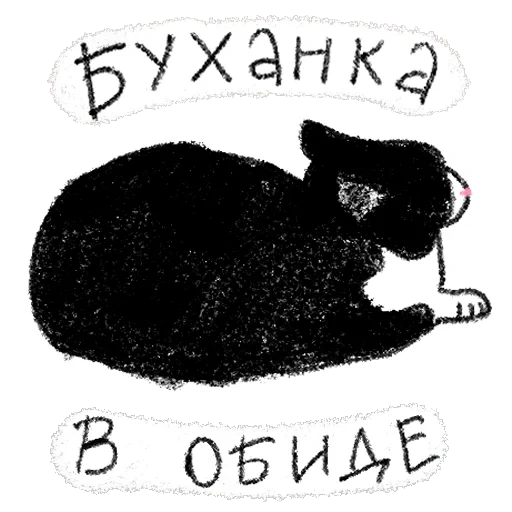 cat, cat, fly art, illustration of a cat, black cat illustrator