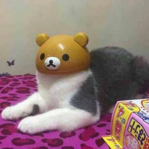 a toy, cat mishka, toy cat, plush toys, corgi soft toy 45 cm