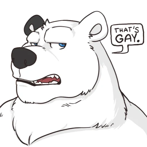 bear, bear, polar bear, furry is a white bear