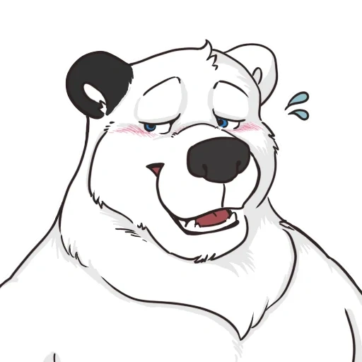 polarbär, bärskizze, bear srisovka, lieber weißer bär, bär illustration