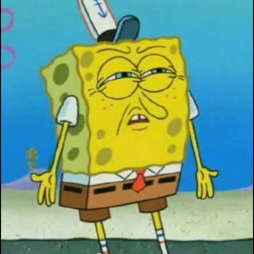 spongebob, spongebob meme, spongebob face, molare schwammbohnen, spongebob square hose
