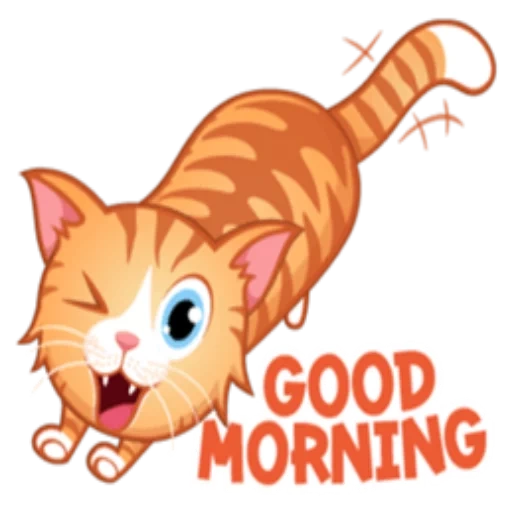 gatto, cat, gatto, animali domestici, good morning wishes