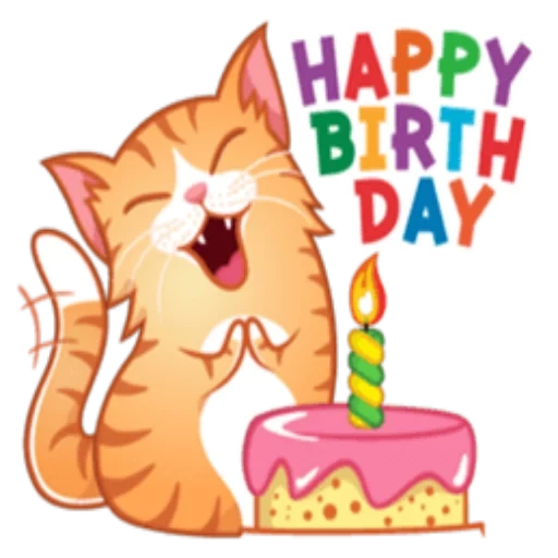 happy birthday, happy birthday кот, happy birthday cat, happy birthday card, недовольный кот днем рождения