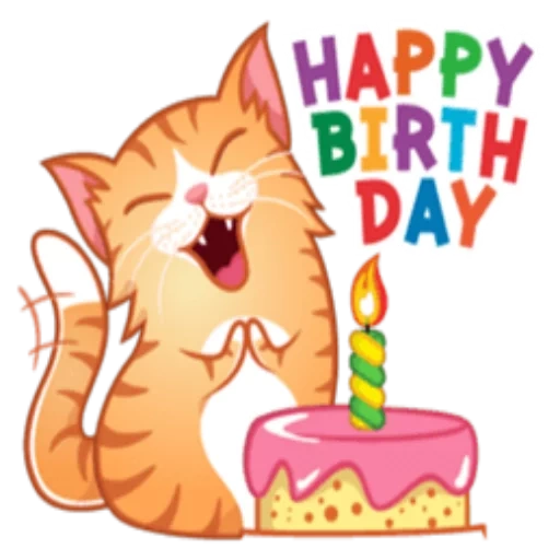 alles gute zum geburtstag, alles gute zum geburtstag katze, alles gute zum geburtstag katze, alles gute zum geburtstagskarte, unzufriedener katze geburtstag