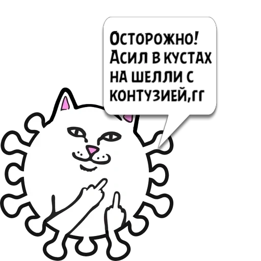 кот, кошка, фак кот, кот факом, кот факушки