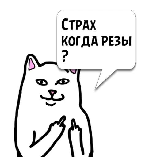 котики, ripndip, кот факом, котик факью