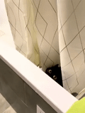 baño de baldosas, baño, sur aparte lobnya, el diseño de la cortina del inodoro, agujero telik youtube nika drain