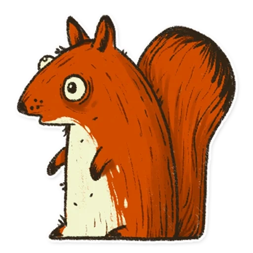 écureuil, plaisanter, personnage d'écureuil, illustratrice d'écureuil, dessin animé de protéines drôles