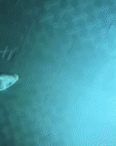 fondo del mare, salvatore di schermo di brb