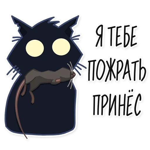 кот, прикол, кошачий арт, прикольные фразочки, прикольные смешные цитаты про вредность